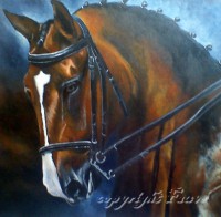 /album/galerie-photos/cheval-de-dressage-copie-jpg/